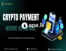 Crypto Payment Gateway Development Solutions in US